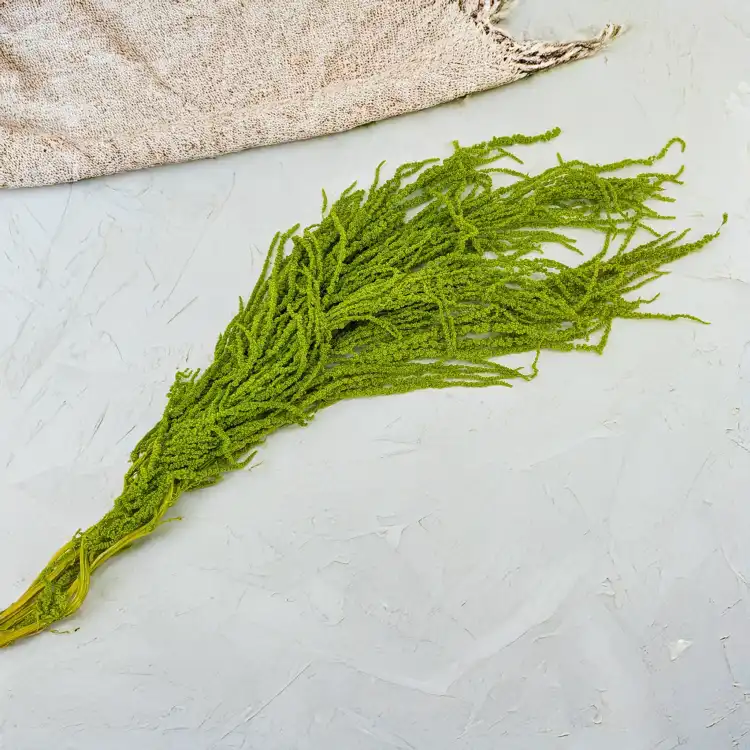Szarlat Lt Green Royal 2.png