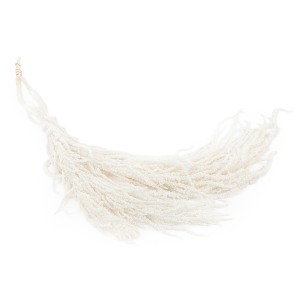 Amarantus Stabilizowany - Royal - Szarłat - Bielony