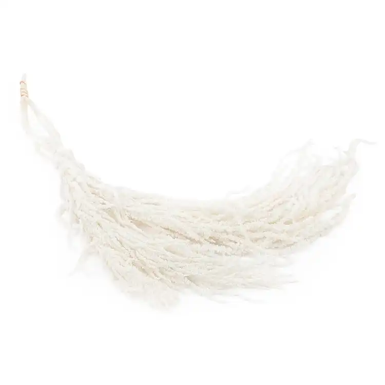 Amaranthus Bleached Royal 01.png