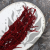 Amaranthus Burgundy Royal 04.png