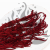 Amaranthus Burgundy Royal 03.png