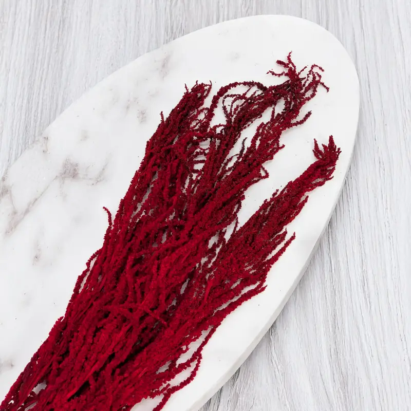 Szarlat red Royal 3.png