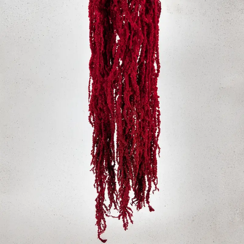 Szarlat red Royal 4.png