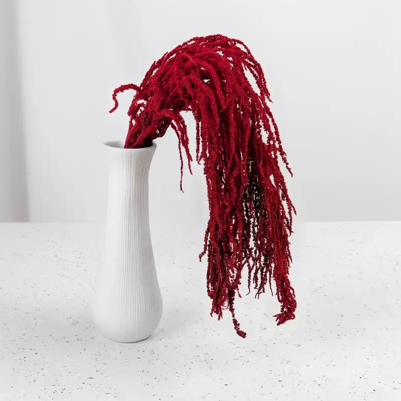 Szarlat red Royal 5.png