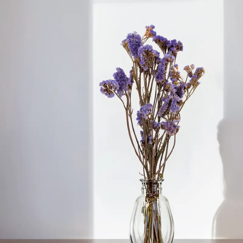 Zatrwian Fioletowy IT stabilizowany 5.png