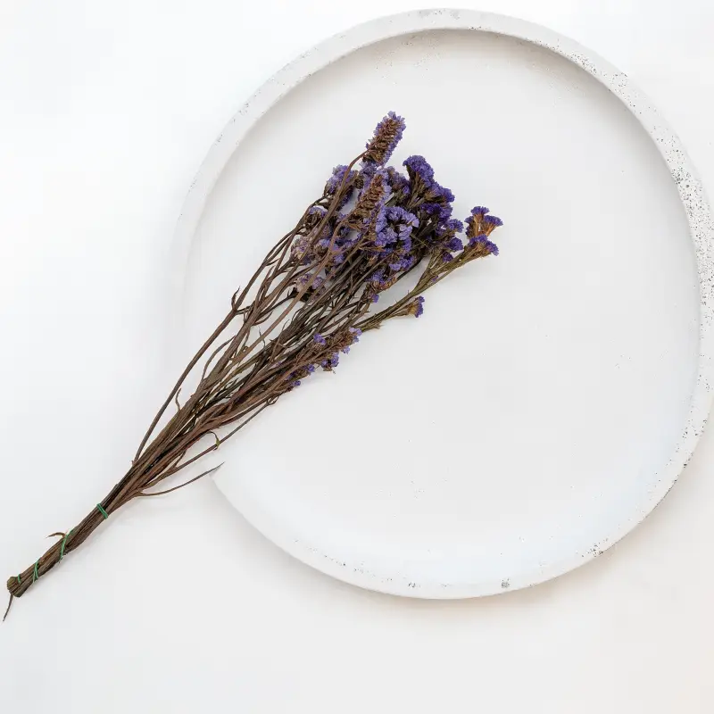 Zatrwian Fioletowy IT stabilizowany 1.png