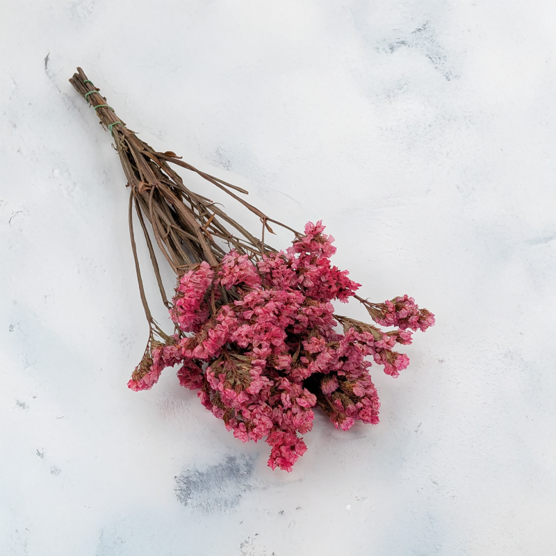 Zatrwian stabilizowany It różowy 1.png