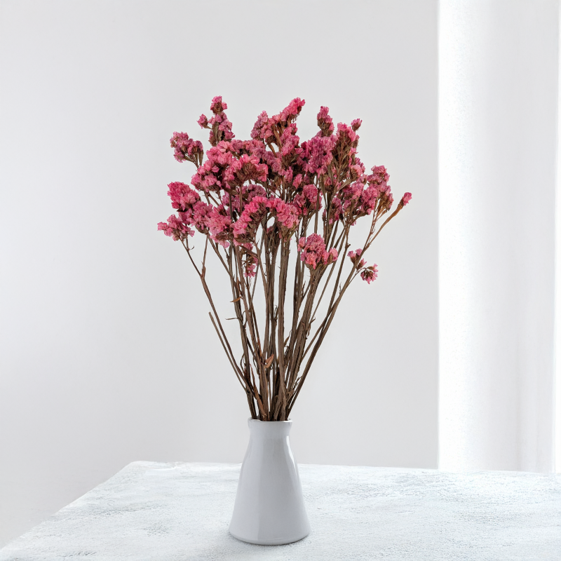 Zatrwian stabilizowany It różowy 5.png