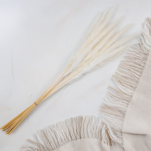 Mini pampas ch 2.png