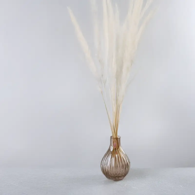 Mini pampas ch 3.png