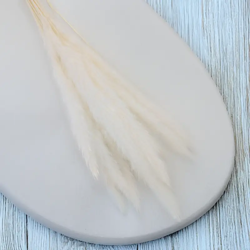 Mini pampas ch.png