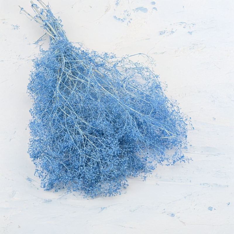 Gips mini niebieska 1.png