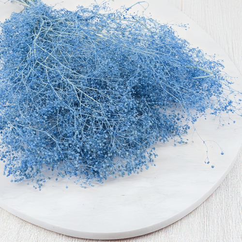 Gips mini niebieska 2.png