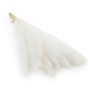 Mini Trawa Pampasowa - Bielona