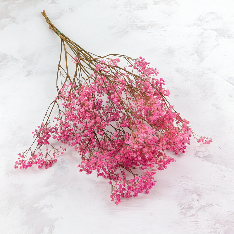 Gips pastel róż 1.png