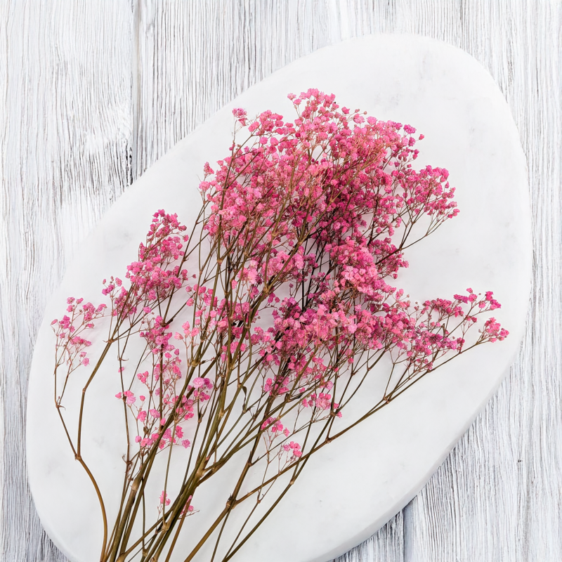 Gips pastel róż 4.png