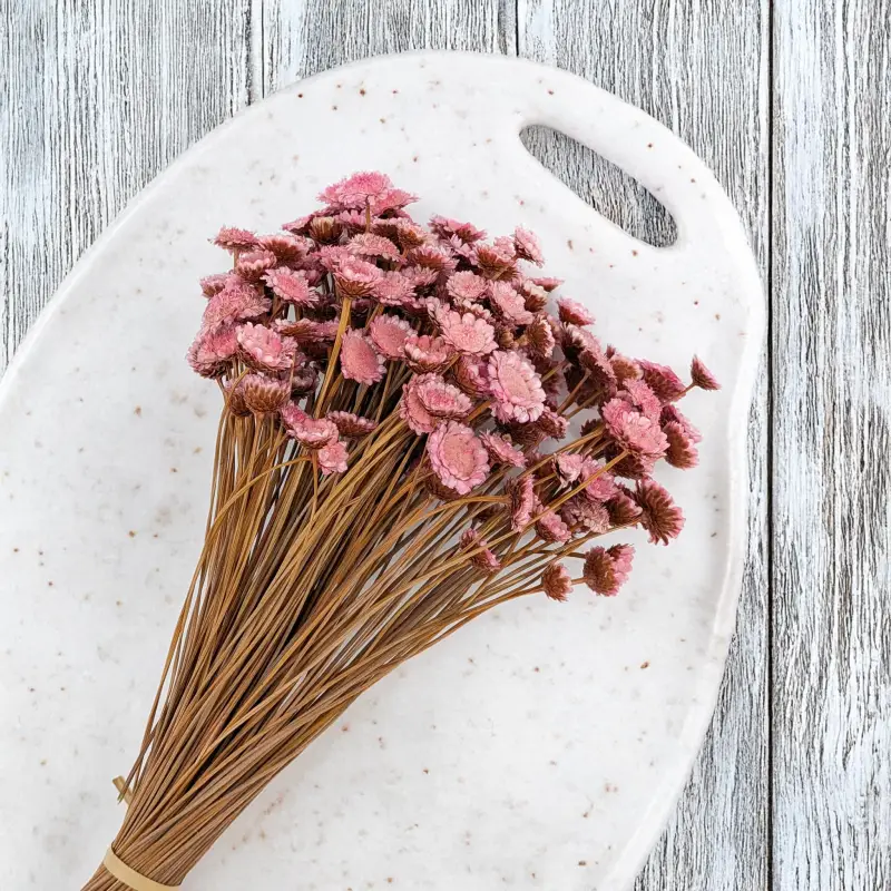 Glixia Big różowa 3.png