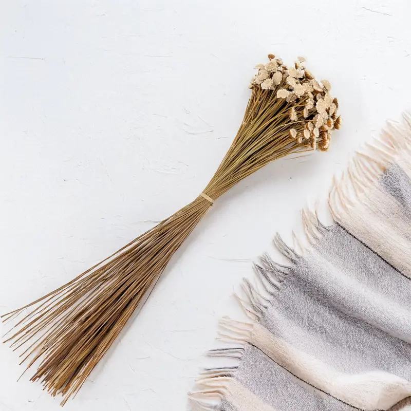 Glixia Big naturalna 4.png