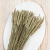 Tymotka naturalna 4.png