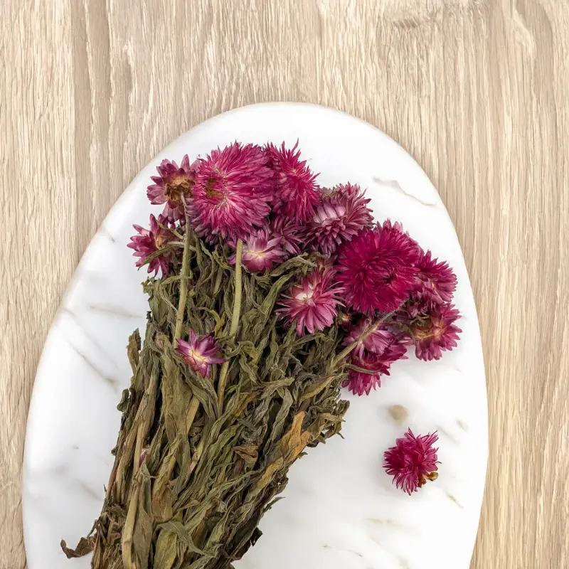 Kocanka granvia różowa 4.png