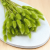 Lagurus LT Green 2.png