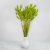 Lagurus LT Green 5.png
