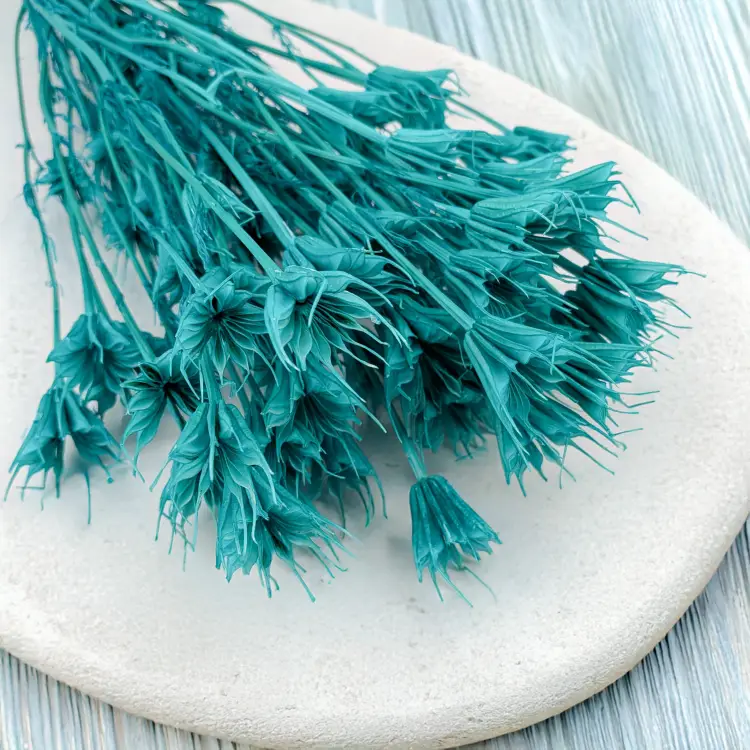 Nigella mięta 1.png
