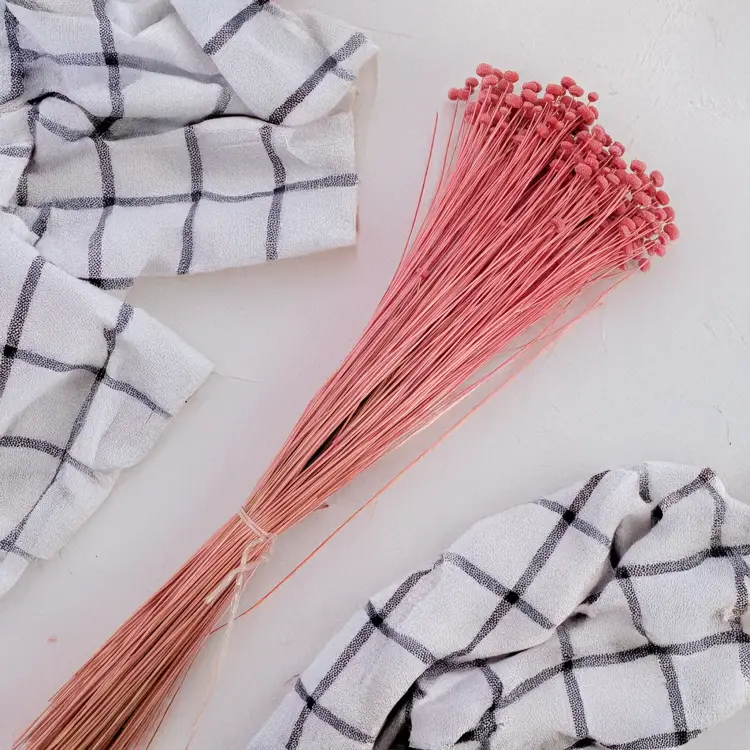 amarelino buraczkowe 3.png