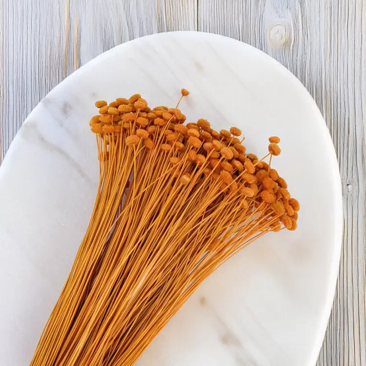 Amarlino imbirowe 4.png