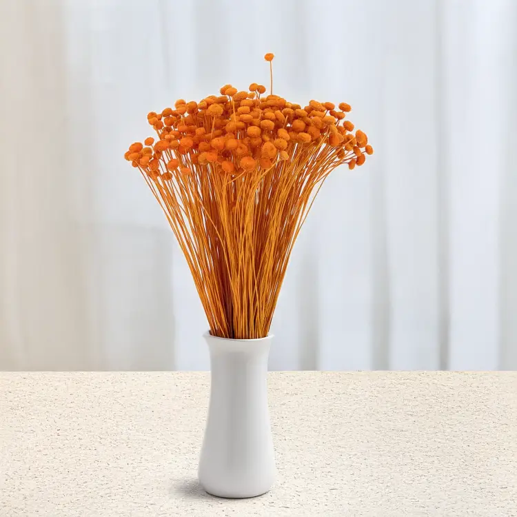 Amarlino imbirowe 5.png