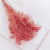gips royal raspberry 1.png