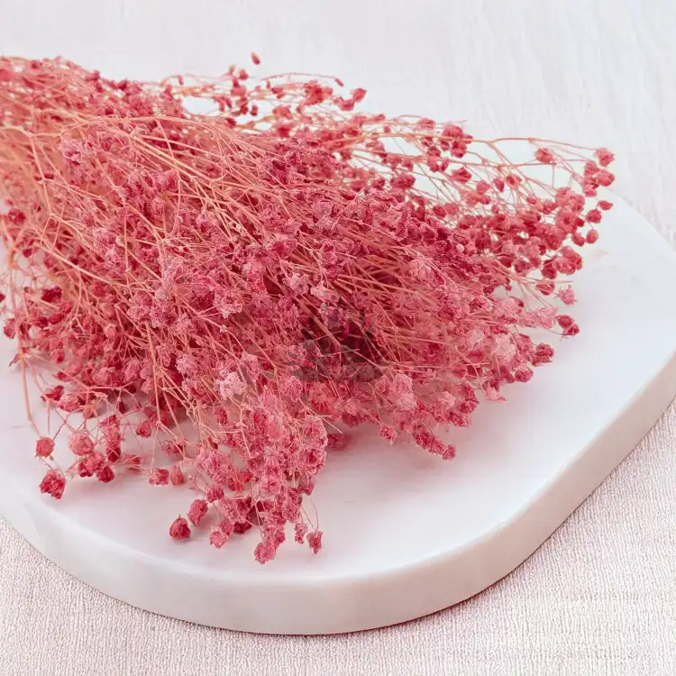 gips royal raspberry 2.png
