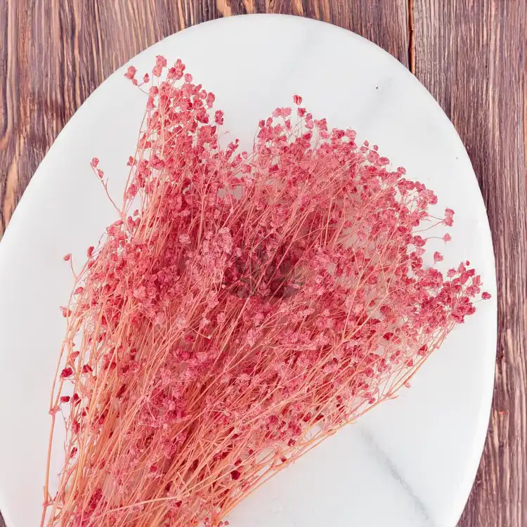 gips royal raspberry 4.png