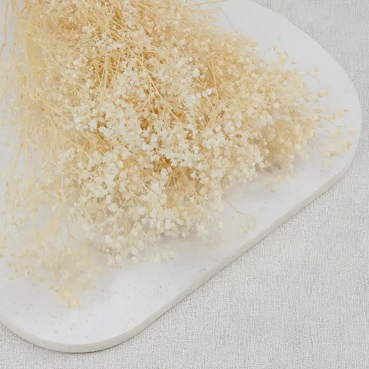 gips royal creamy white 2.png