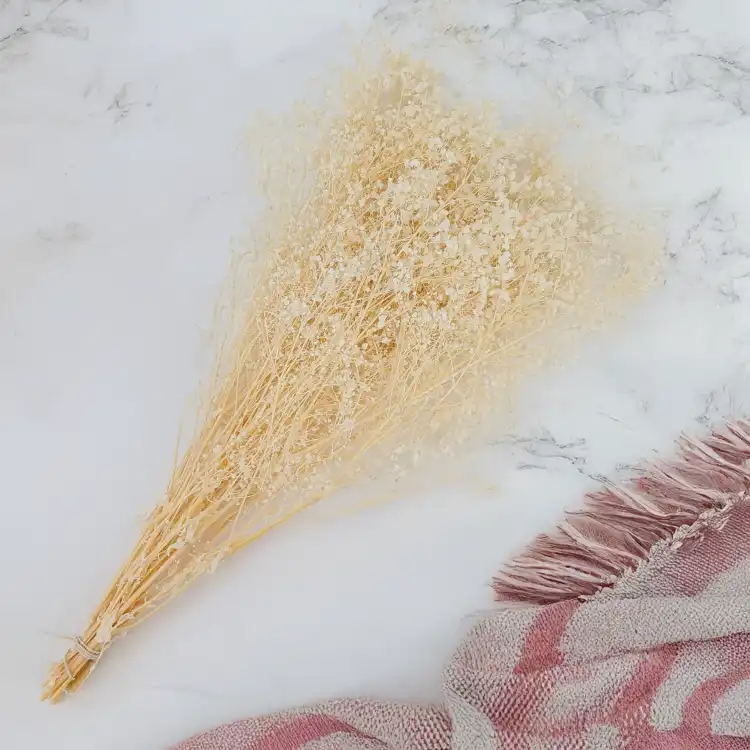 gips royal creamy white 3.png