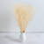 gips royal creamy white 5.png