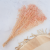 Gips royal Soft Pink 3.png