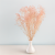 Gips royal Soft Pink 5.png