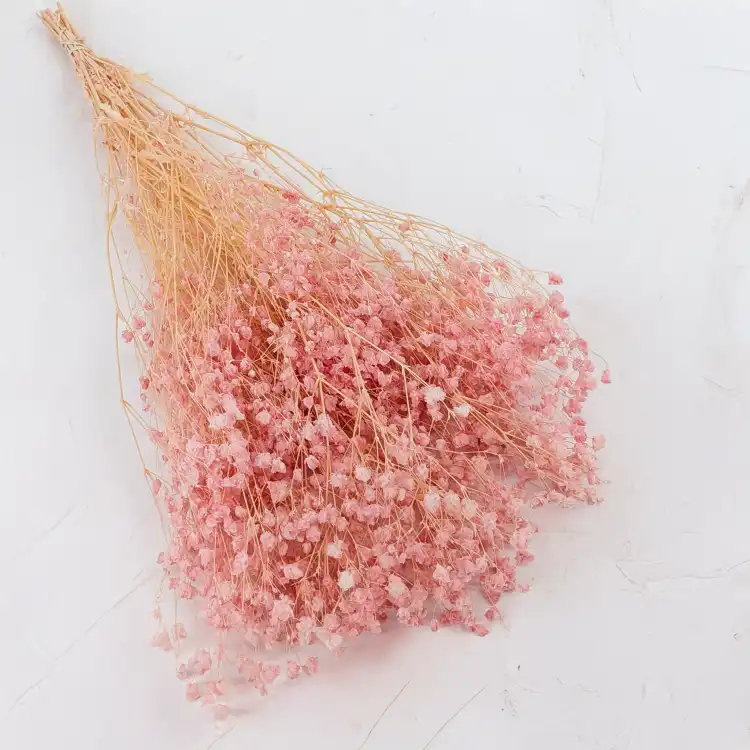 gips royal baby pink 1.png