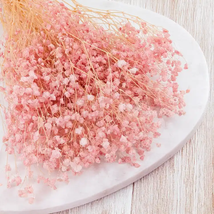 gips royal baby pink 2.png