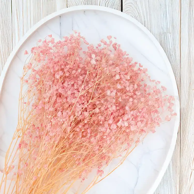 gips royal baby pink 4.png