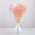 gips royal baby pink 5.png
