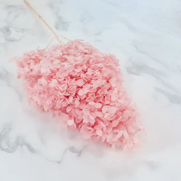 Hortensja Conical soft pink 1.png