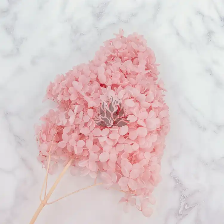 Hortensja Conical soft pink 3.png
