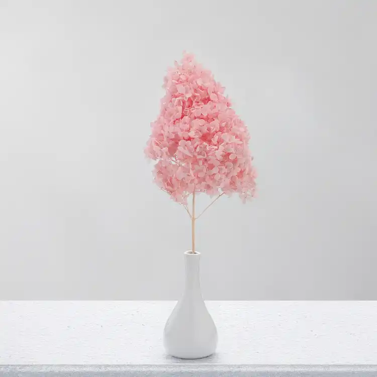 Hortensja Conical soft pink 4.png