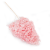 Hortensja Conical soft pink.png