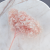 Hortensja Royal Powder Pink 3.png