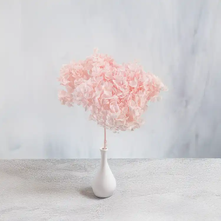 Hortensja Royal Powder Pink 4.png