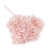 Hortensja Royal Powder Pink.png