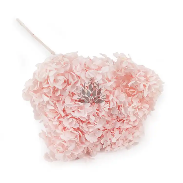 Hortensja Royal Powder Pink.png